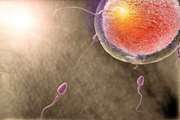 حمایت بنیاد ملی علم از ساخت تراشه ریزسیال جداکننده اسپرم‌ جهت درمان ناباروری