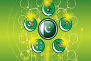 نظام علم، فناوری و نوآوری و ظرفیت های فناورانه پاکستان